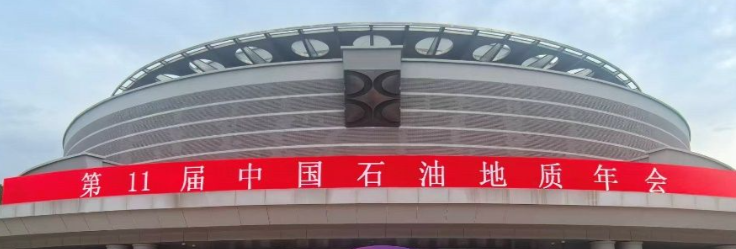 第11届中国石油地质年会会议成果