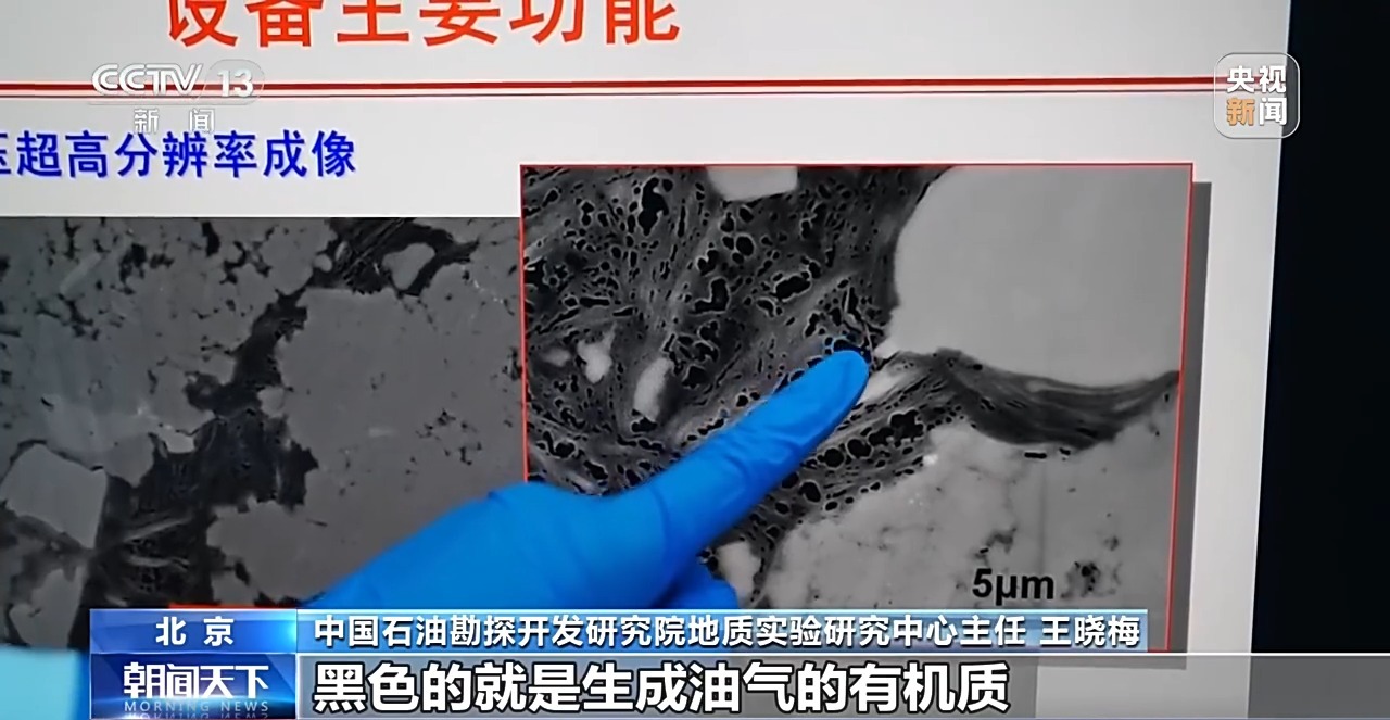 21ad1f3d-3069-43ca-9fd4-6dcc06f574fd.jpg